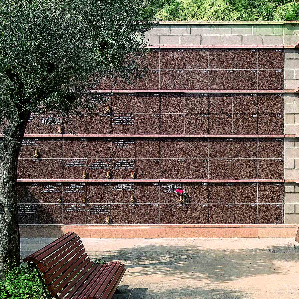 ID_13_capacidades.jpg