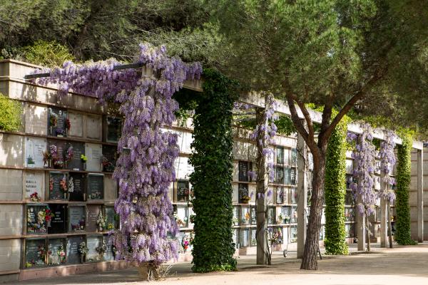 nichos roques blanques