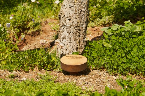 Arbre familiar al cementiri comarcal roques blanques