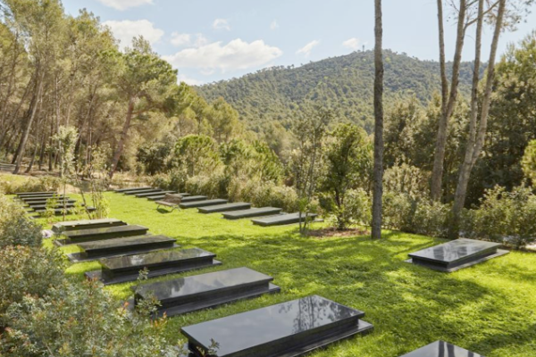 pateon cementerio roques