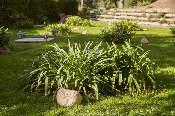 Jardín del Recuerdo